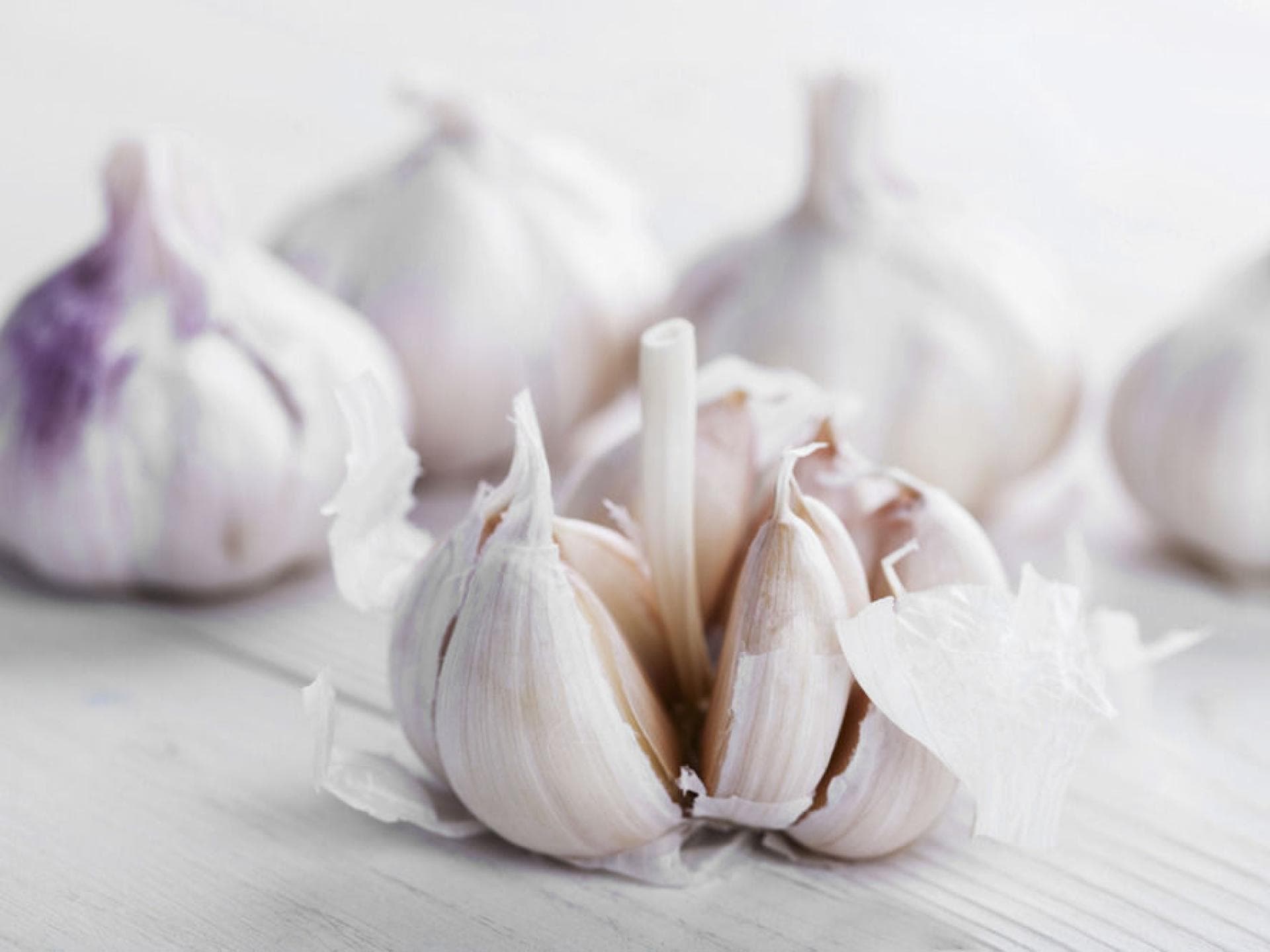 Frischer Knoblauch hilft gegen Erkältung knoblauch-bei-lungenentzundung